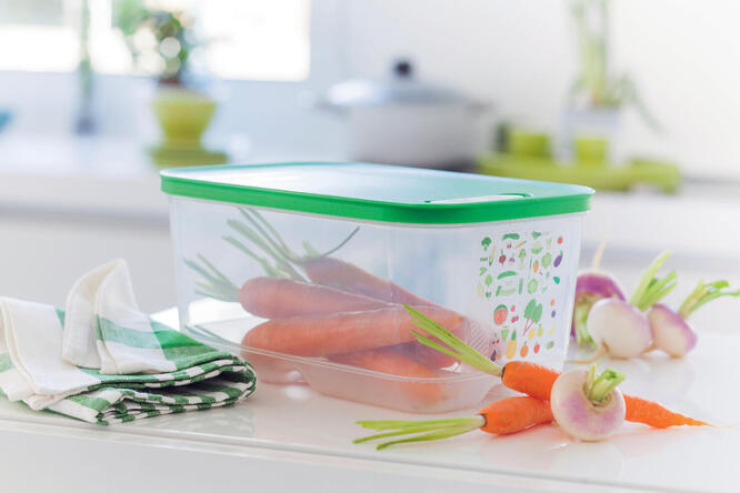 Tupperware Ventsmart 